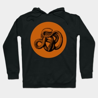 Halloween Snake, Symbols, Portents, Omens, and Signs Hoodie